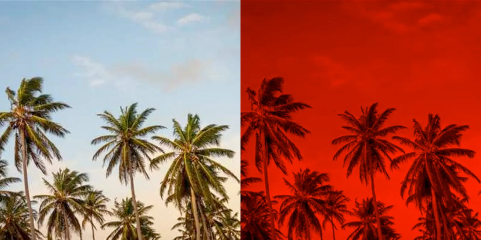 tint